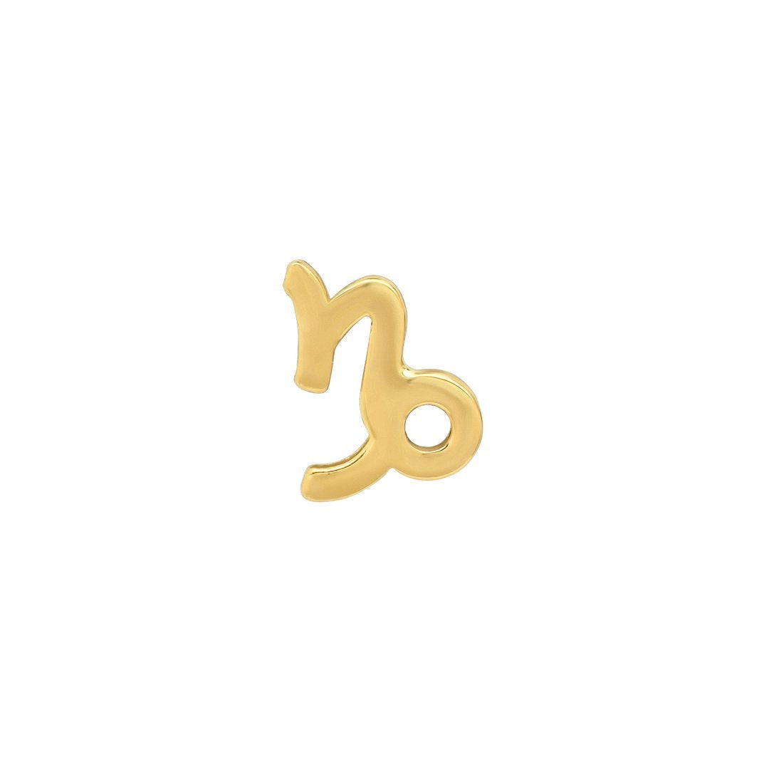 14k Gold Zodiac Earrings - Capricorn Dec 22 - Jan 20