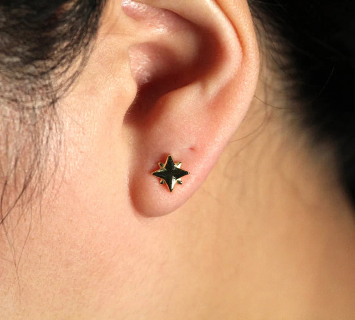14k Northern Star Earrings